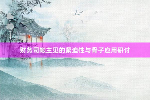 财务司帐主见的紧迫性与骨子应用研讨